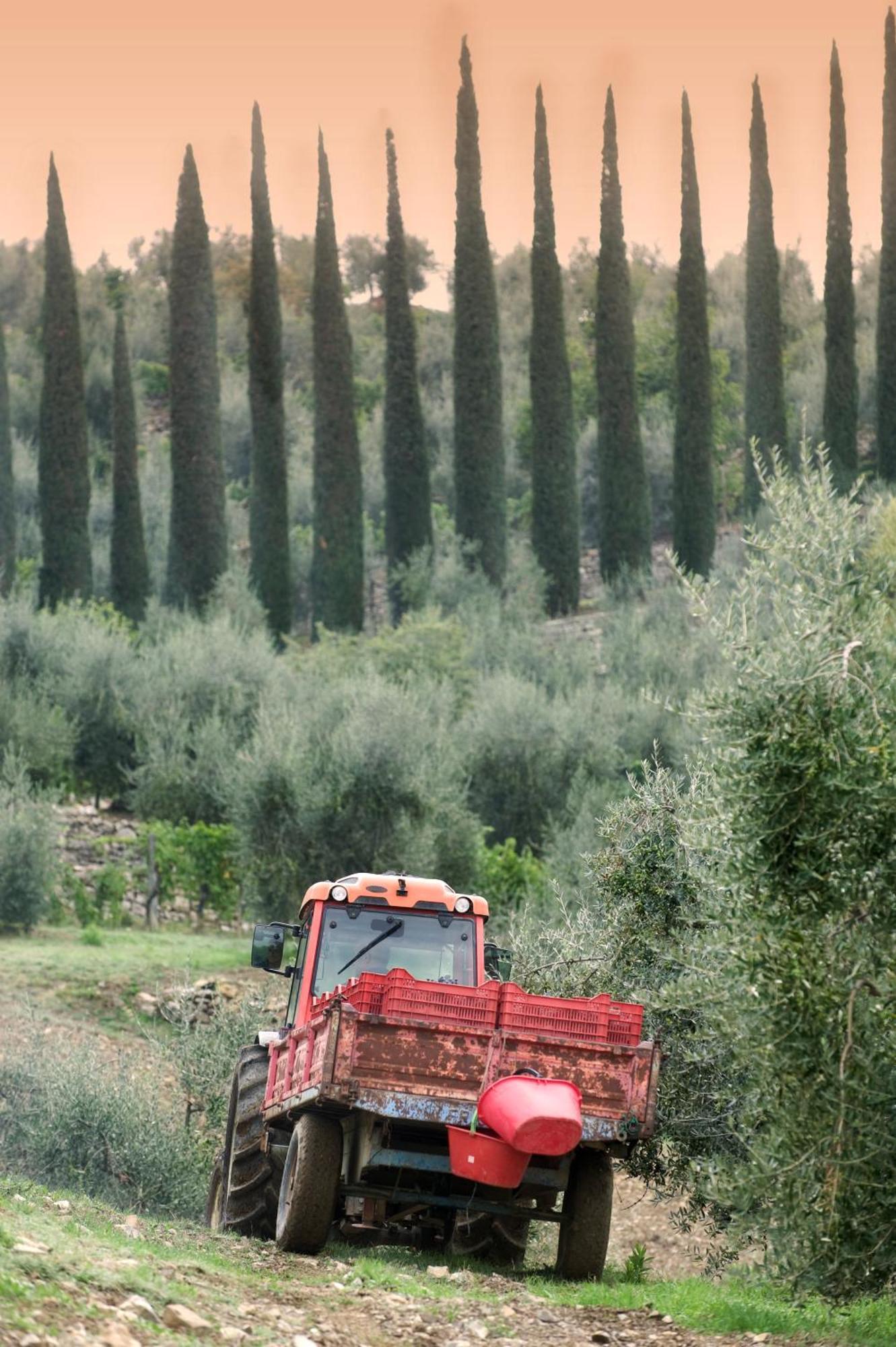 La Valletta Boutique Wine Estate Panzano in Chianti Kültér fotó